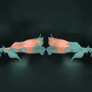 Ontdubbeling in Excel: dubbele waarden vinden en verwijderen // PerfectXL Academy