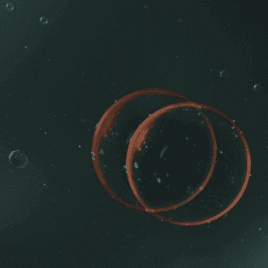 Don't merge cells in Excel // PerfectXL Academy